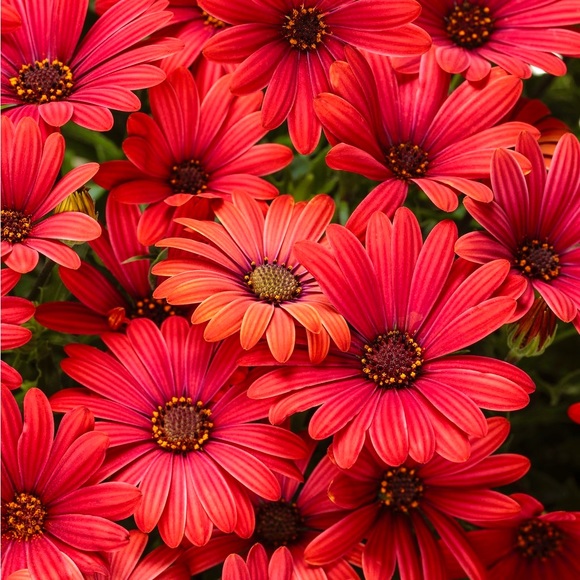 🎅🌟🤶🎄🎁🎶🎅🌟🤶🎄🎁🎶🎅🌟🤶🎄🎁 - Picture 7 of 14